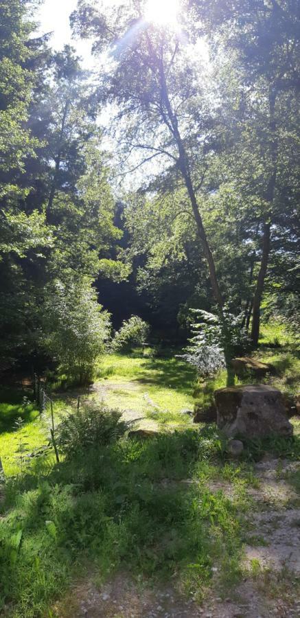 Gite De La Baerenbach Haselbourg Екстериор снимка
