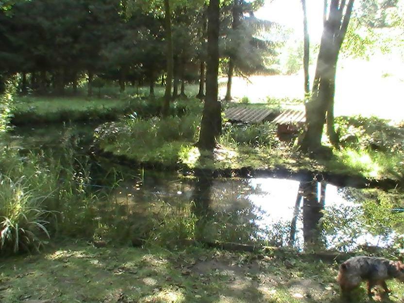 Gite De La Baerenbach Haselbourg Екстериор снимка